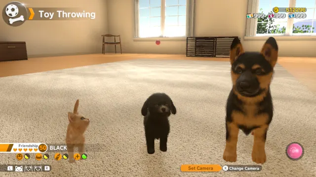 Little Friends: Dogs & Cats screenshot 4