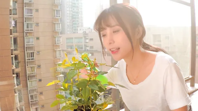 Summer Sweetheart screenshot 6