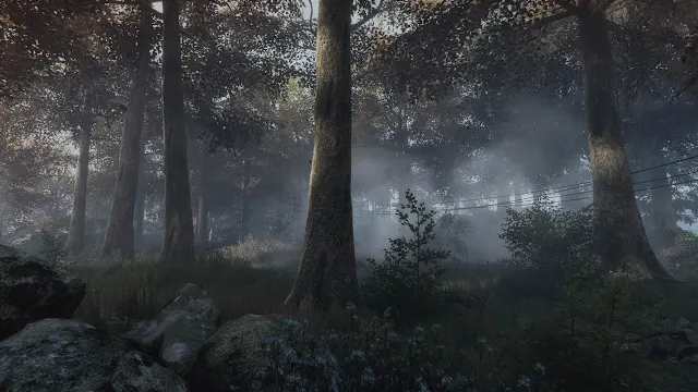 The Vanishing of Ethan Carter screenshot 2