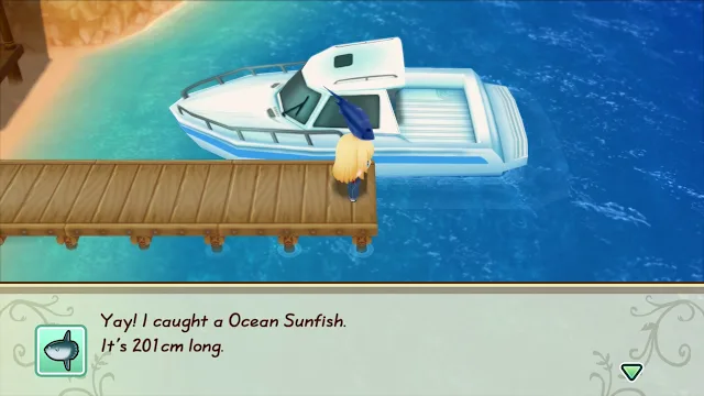 STORY OF SEASONS: Friends of Mineral Town screenshot 4