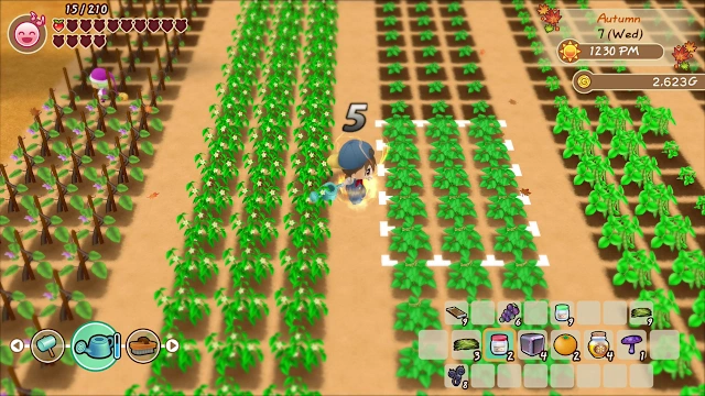 STORY OF SEASONS: Friends of Mineral Town screenshot 3