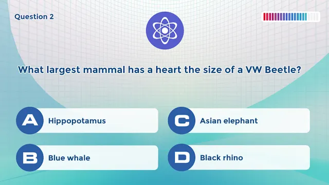 Knowledge Trainer: Trivia screenshot 1