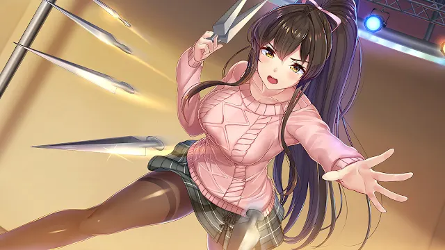NinNinDays screenshot 1