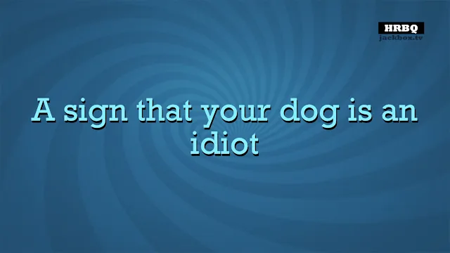 Quiplash 2 InterLASHional: The Say Anything Party Game! screenshot 2