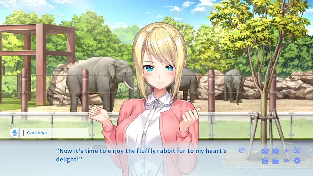 KukkoroDays screenshot 5