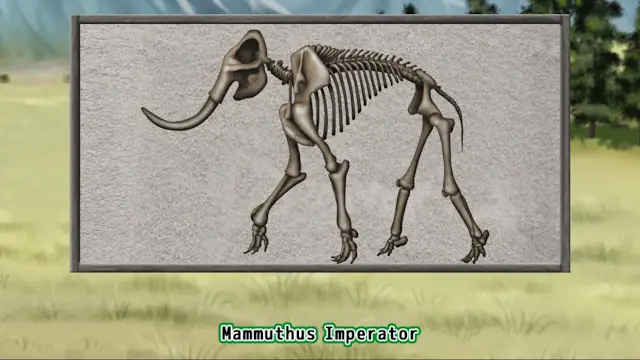 Prehistoric Life Puzzles screenshot 4