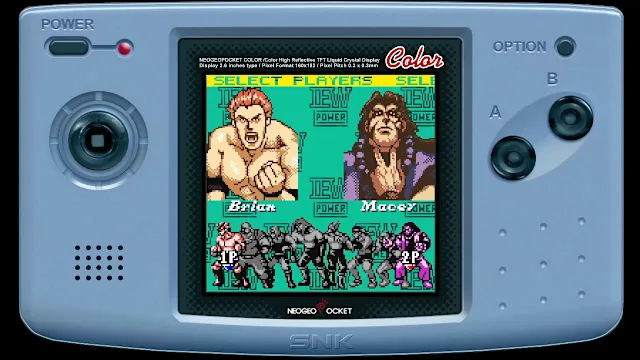 BIG BANG PRO WRESTLING screenshot 1