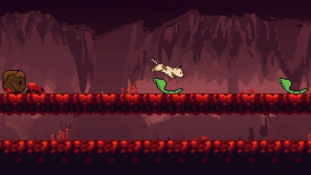 .dog screenshot 1