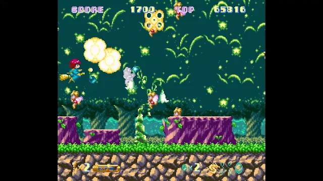 Cotton 100% screenshot 0