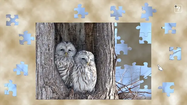JIGSAW MASTER KIDS screenshot 5
