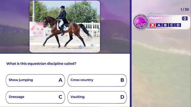 Equestrian Training screenshot 4
