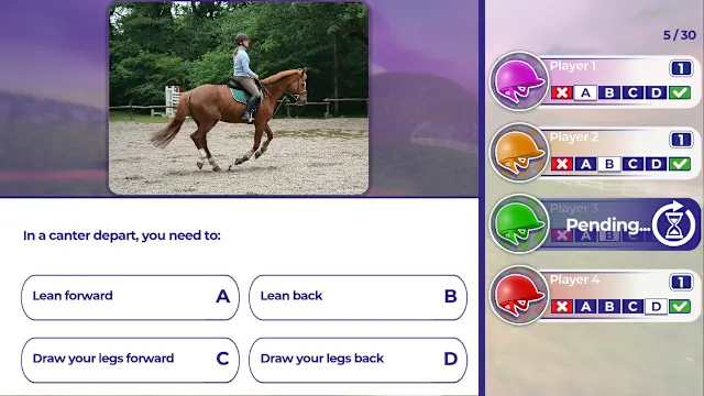 Equestrian Training screenshot 1