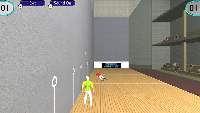 Handball Pelota screenshot 3