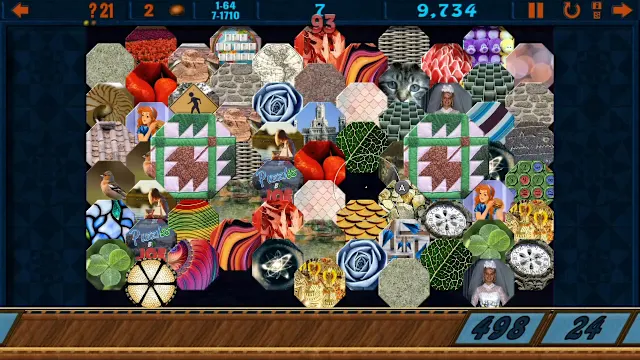 Clutter Evolution: Beyond Xtreme screenshot 2