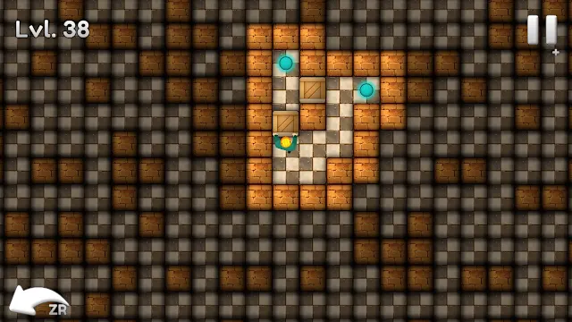 Sokoban Block Puzzle screenshot 1