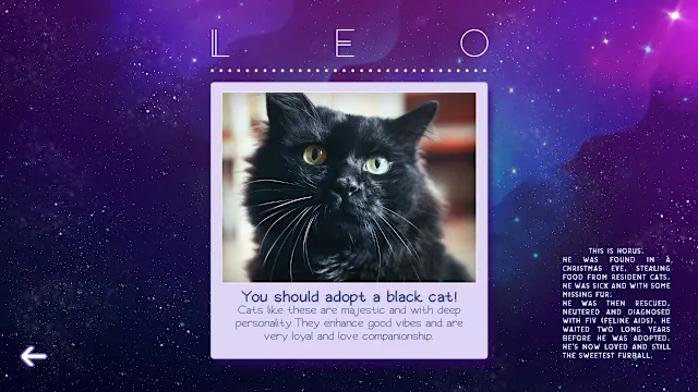 Zodiacats screenshot 4