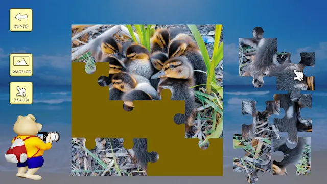 Jigsaw Puzzle: Belgium through the Lens screenshot 3