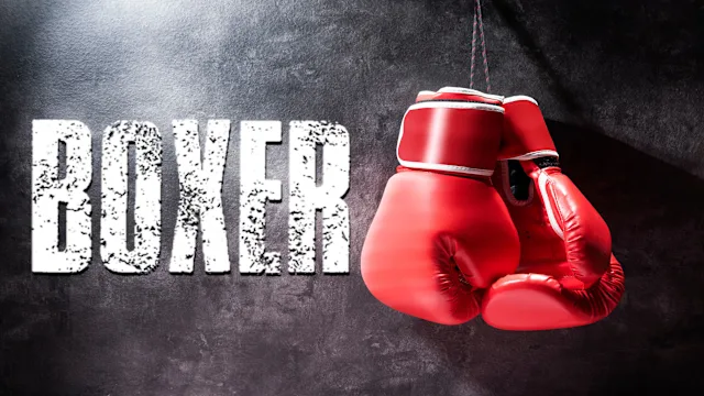 Boxer