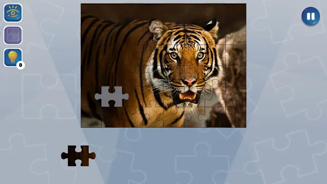 Jigsaw Puzzle Fever screenshot 3