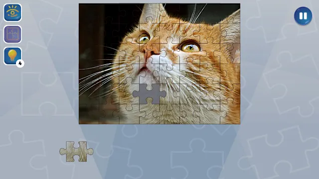 Jigsaw Puzzle Fever screenshot 1