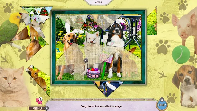 My Lovely Pets Collector's Edition screenshot 5