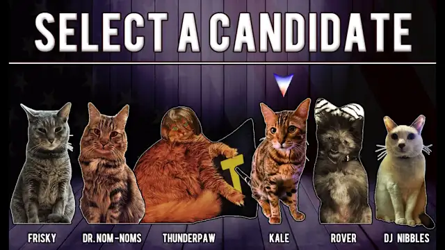 Cat President: A More Purrfect Union screenshot 6