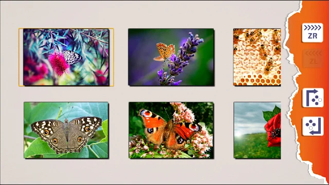 It's Puzzles: Wild Nature screenshot 5