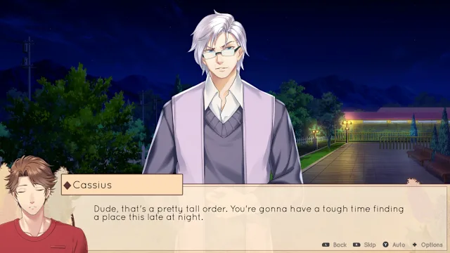 My Heart Grows Fonder screenshot 6