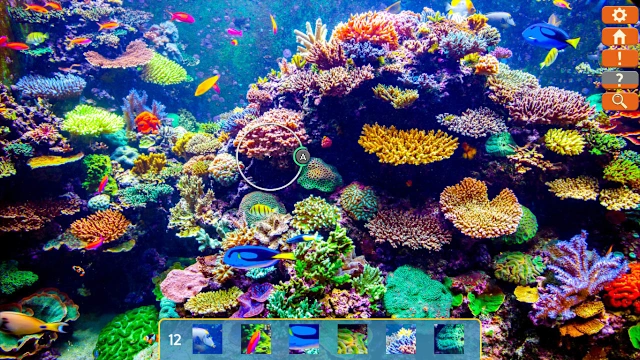 Just Find It Collector's Edition screenshot 3