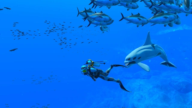 Endless Ocean™ Luminous screenshot 2