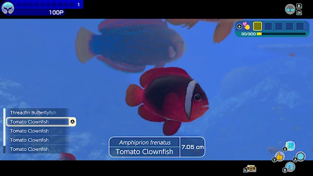 Endless Ocean™ Luminous screenshot 5