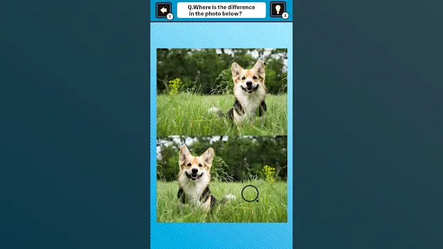 Train Your Brain! Spot the Difference with Dog Photos screenshot 1