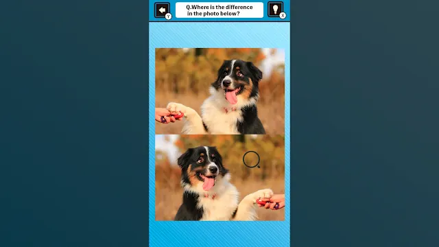 Train Your Brain! Spot the Difference with Dog Photos screenshot 2