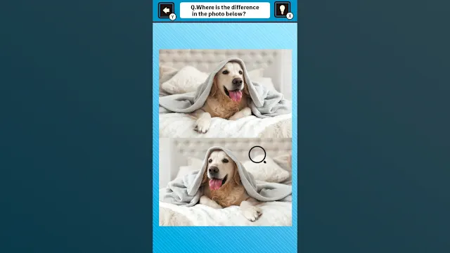 Train Your Brain! Spot the Difference with Dog Photos screenshot 3