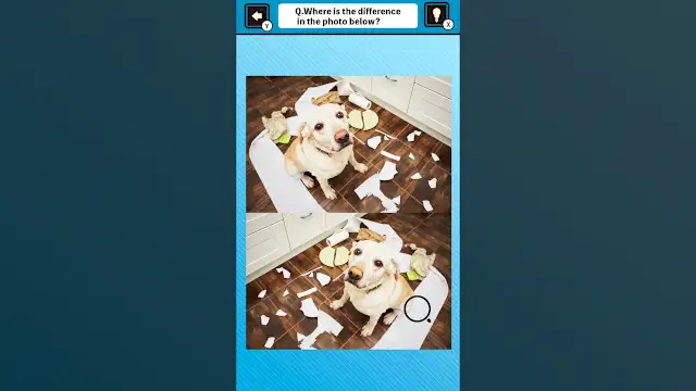 Train Your Brain! Spot the Difference with Dog Photos screenshot 0