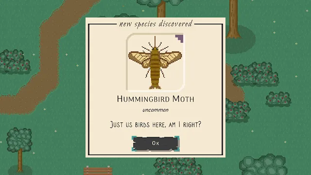 Bug & Seek screenshot 1