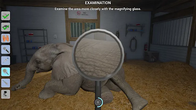 My Life: Zoo Vet screenshot 5