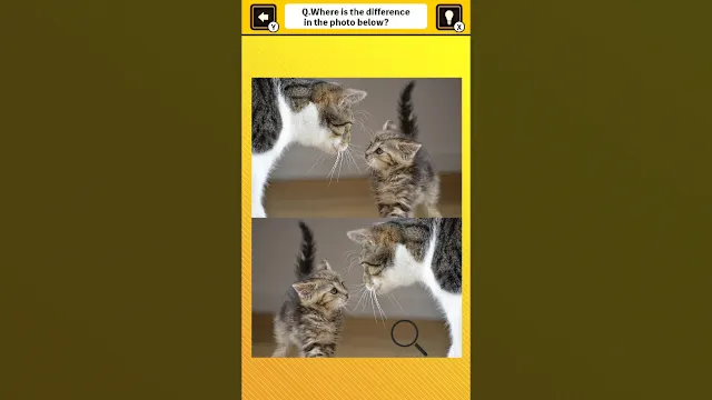 Train Your Brain! Spot the Difference with Cat Photos screenshot 0