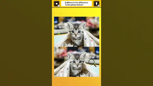 Train Your Brain! Spot the Difference with Cat Photos screenshot 2