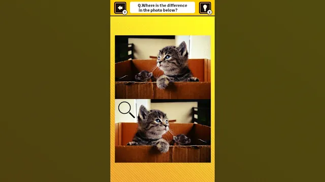 Train Your Brain! Spot the Difference with Cat Photos screenshot 1