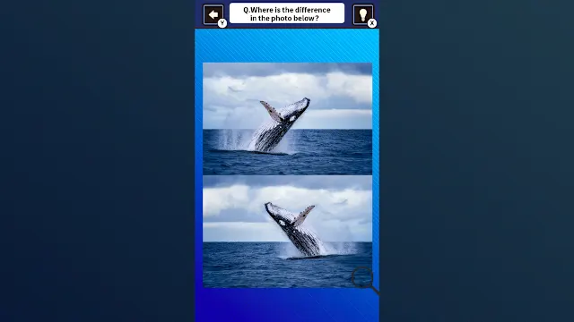 Train Your Brain! Spot the Difference with fish photos screenshot 2