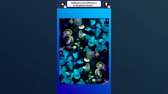 Train Your Brain! Spot the Difference with fish photos screenshot 0