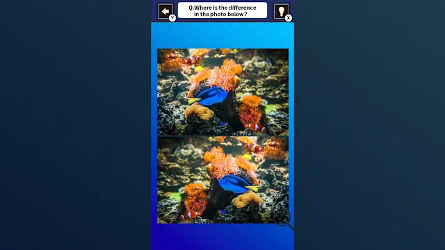 Train Your Brain! Spot the Difference with fish photos screenshot 3