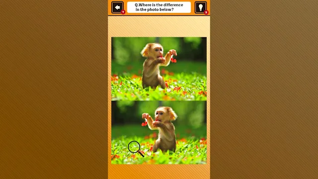 Train Your Brain! Spot the Difference with Animal Kids Photos screenshot 2