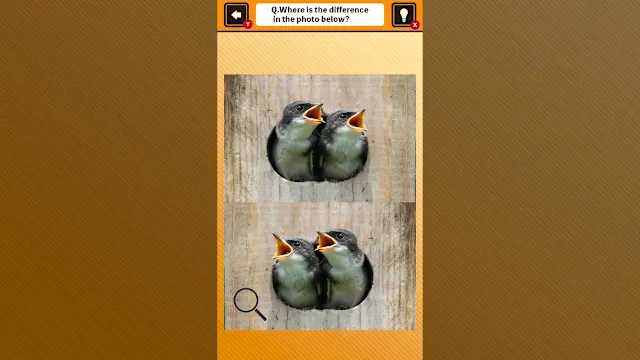 Train Your Brain! Spot the Difference with Animal Kids Photos screenshot 0