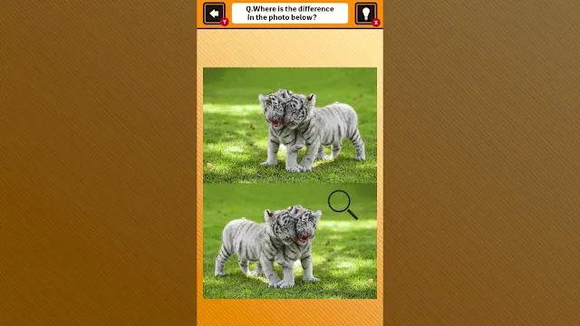 Train Your Brain! Spot the Difference with Animal Kids Photos screenshot 3