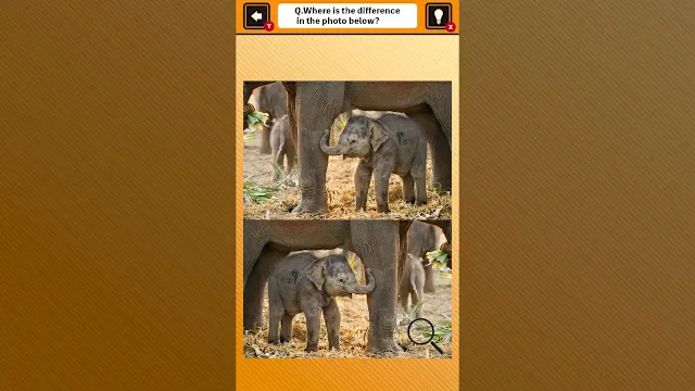 Train Your Brain! Spot the Difference with Animal Kids Photos screenshot 1