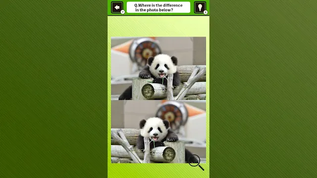 Super kawaii! Finding mistakes in panda photos screenshot 0