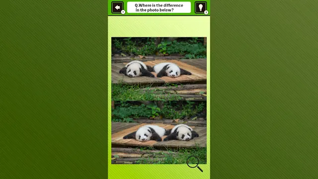 Super kawaii! Finding mistakes in panda photos screenshot 3