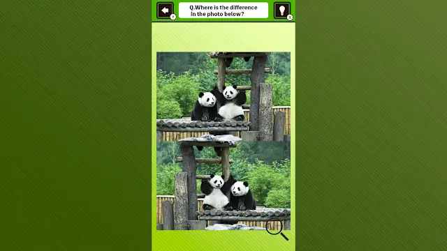 Super kawaii! Finding mistakes in panda photos screenshot 2